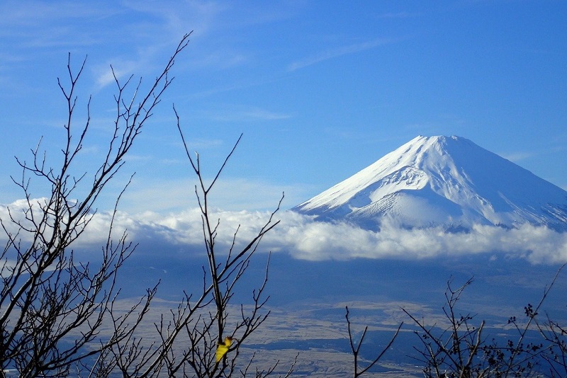 箱根から見る富士山