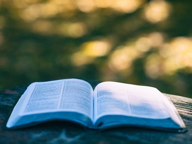 開いた読みかけの本